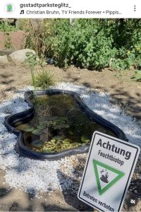 ..weitere Fotos bei Instagram: @gsstadtparksteglitz_